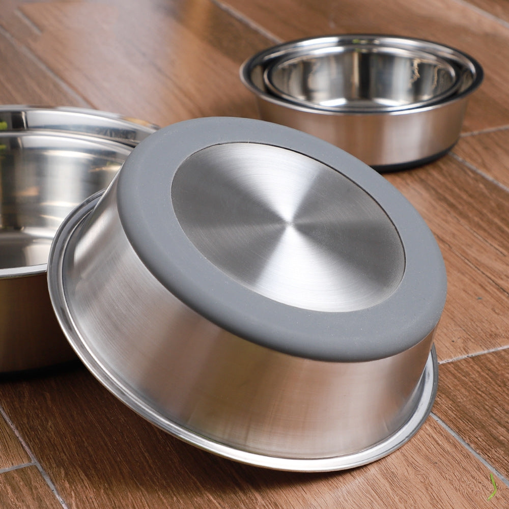 Why Your Pet Deserves the Best Feeding Experience