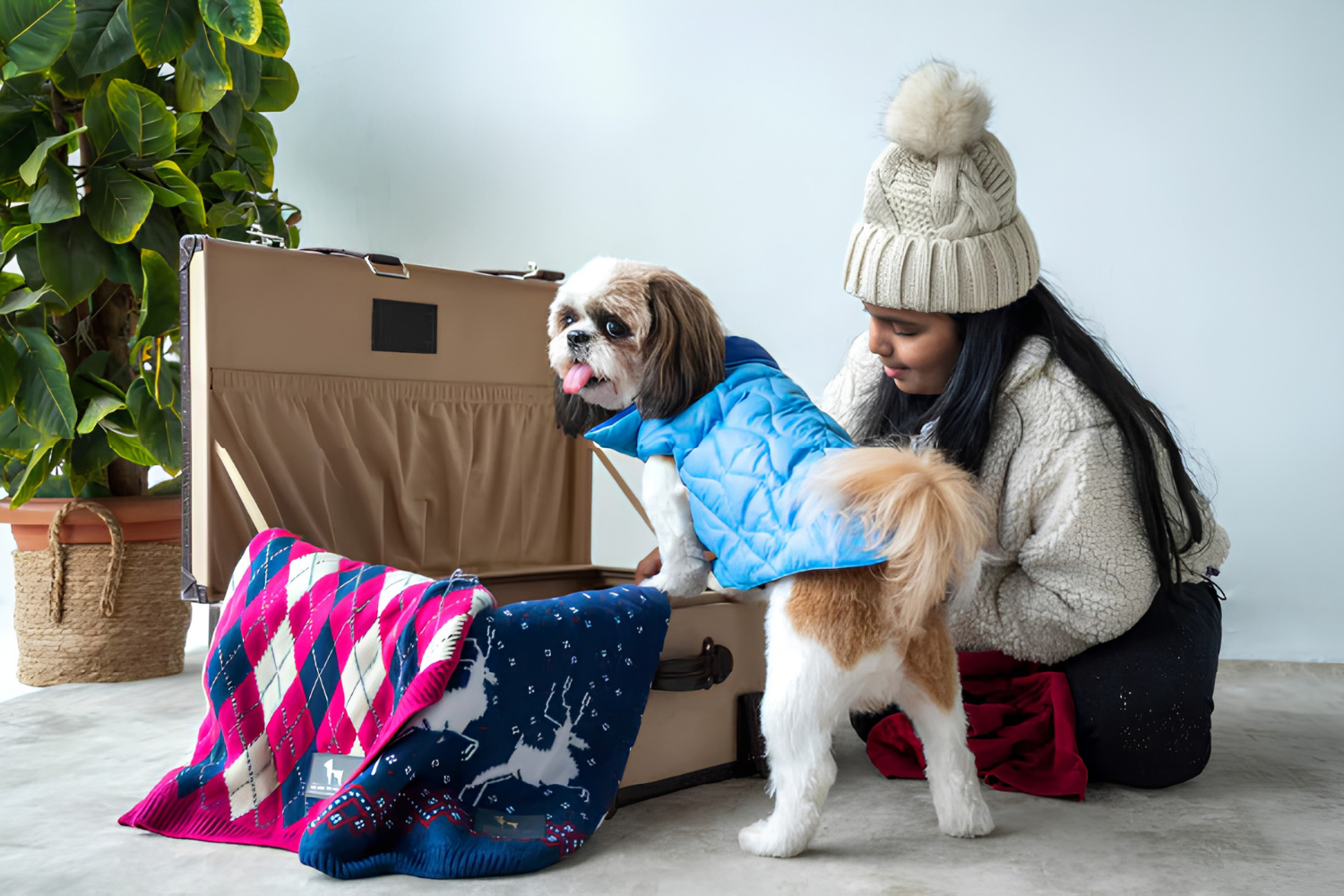 Pet Clothes Add Comfort For All Seasons