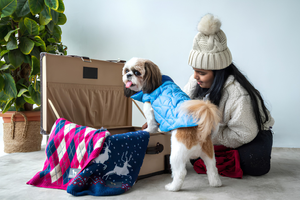 Pet Clothes Add Comfort For All Seasons