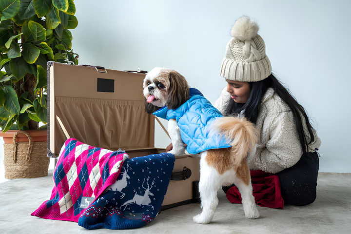 Pet Clothes Add Comfort For All Seasons