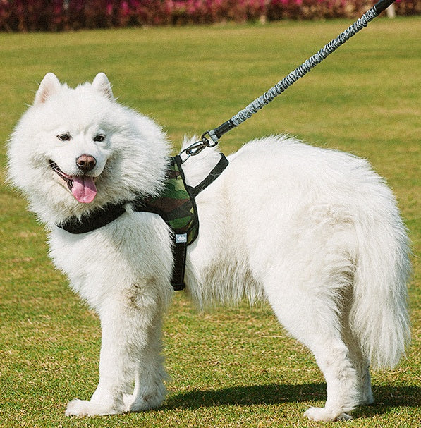 The Ultimate Adjustable Pet Chest Harness With Safety Leash