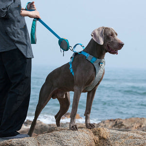 Explore the Durable Pet Chest Harness With Leash Storage Bag