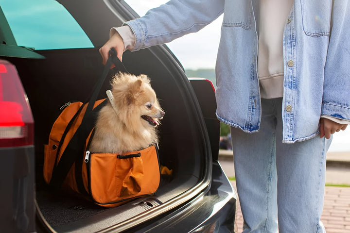 Choosing Pet Carriers For Stress Free Travel
